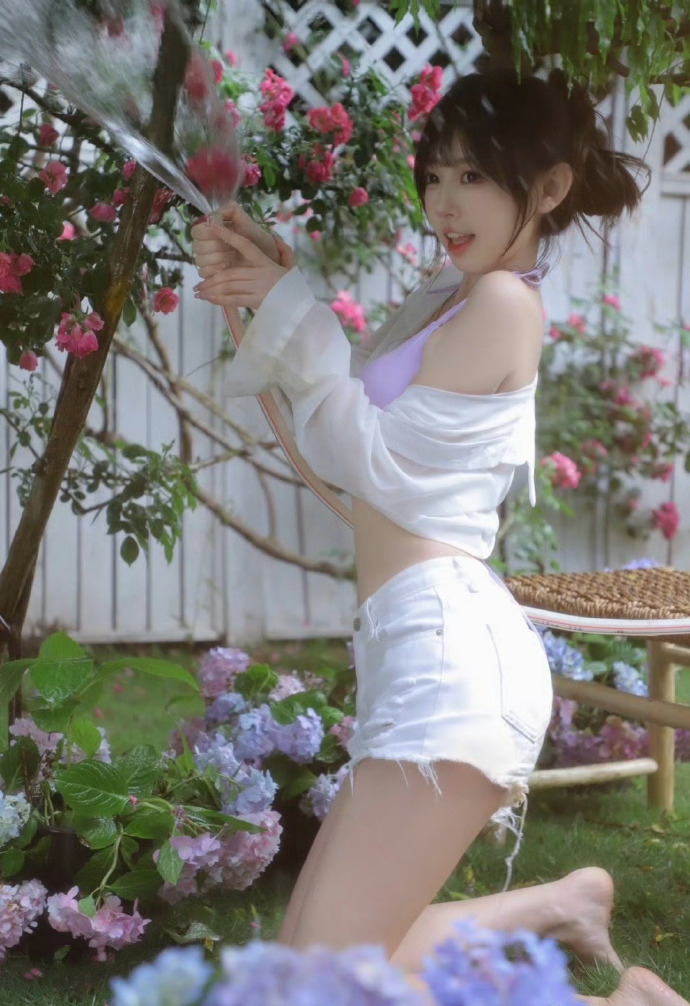 间谍过家家